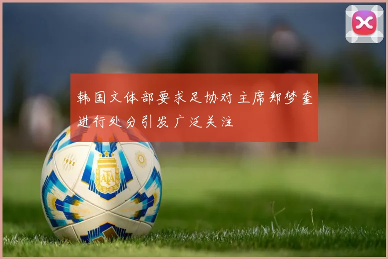 韩国文体部要求足协对主席郑梦奎进行处分引发广泛关注