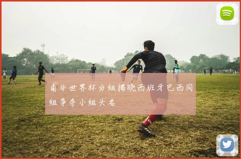 南非世界杯分组揭晓西班牙巴西同组争夺小组头名