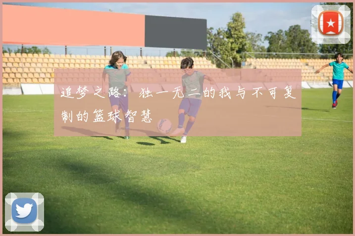 追梦之路：独一无二的我与不可复制的篮球智慧