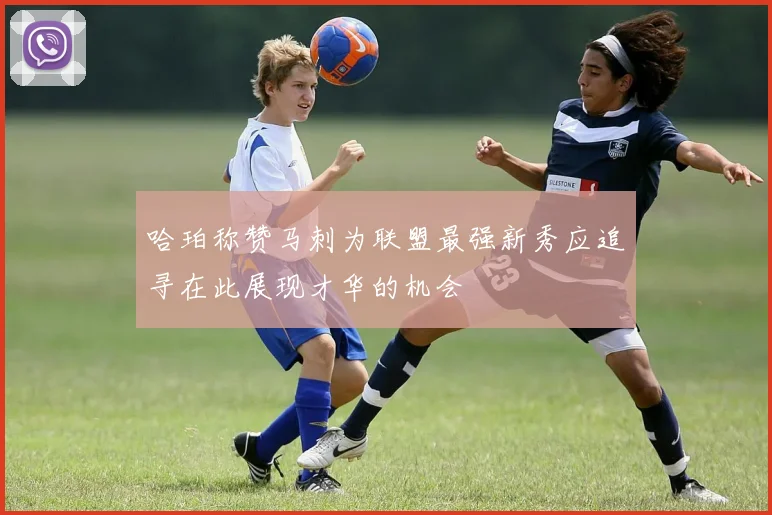 哈珀称赞马刺为联盟最强新秀应追寻在此展现才华的机会